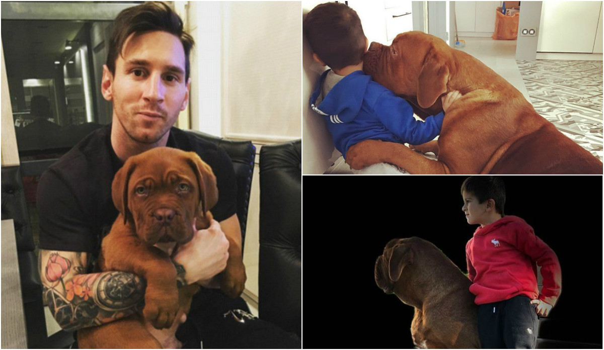 Cộng đồng mạng phát sốt với hình ảnh chú chó cưng “Size XXL” của Messi