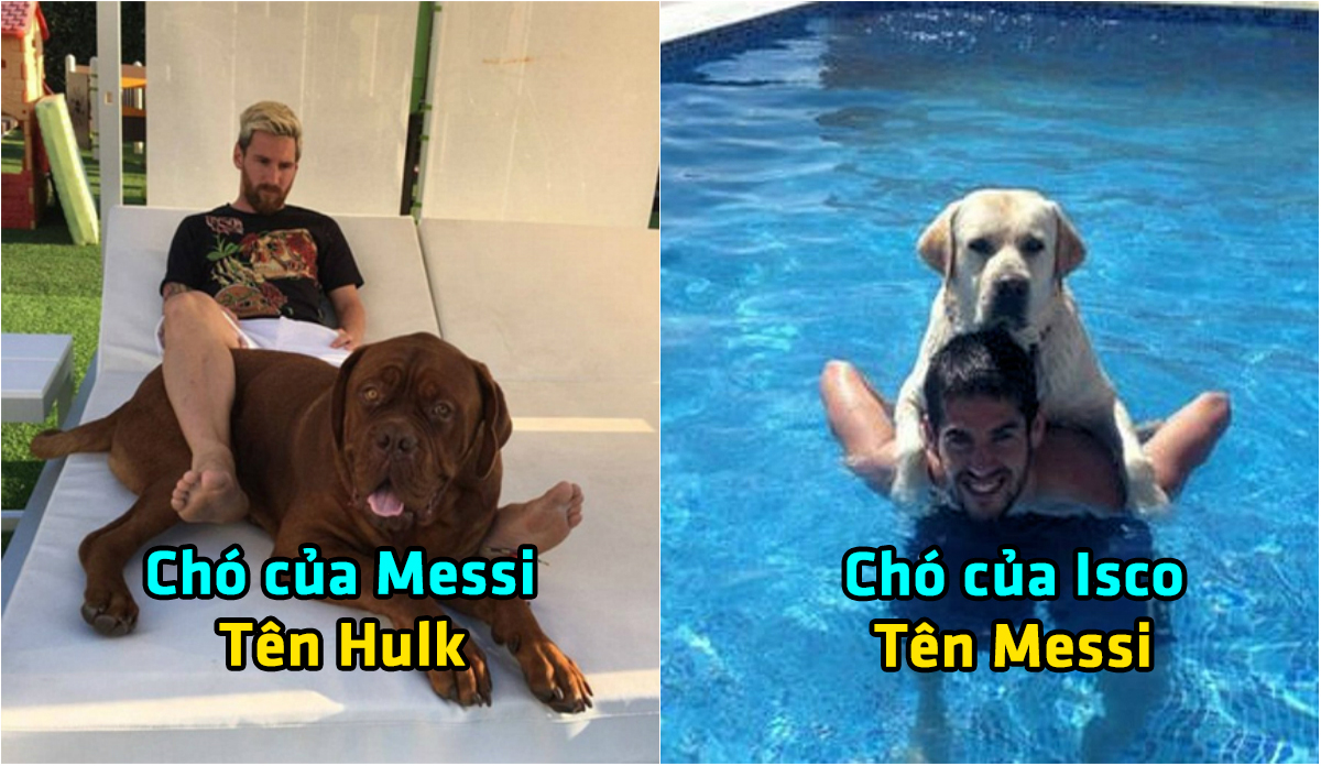 Tiết lộ tên những chú chó cưng của CR7, Messi và 10 siêu sao bóng đá khiến fan phì cười
