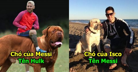 Tiết lộ những cái tên ”độc nhất vô nhị” dàn chó cưng của các siêu sao bóng đá khiến fan không nhịn nổi cười