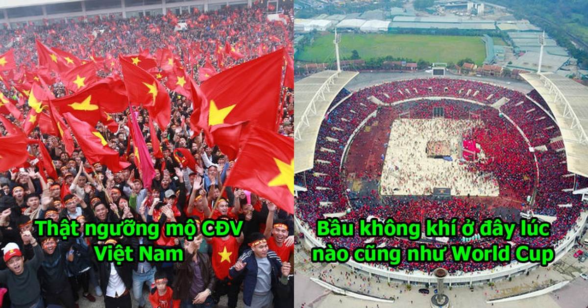 Báo Hàn Quốc: “Chỉ là vòng bảng AFF thôi mà người Việt Nam ăn mừng như thể vô địch World Cup”