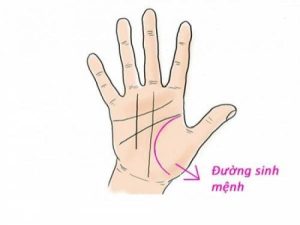 Chỉ tay sinh mệnh tiết lộ điều gì về sự kiện trong cuộc đời bạn