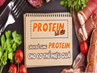 Protein là gì? Bổ sung Protein cho cơ thể như thế nào?