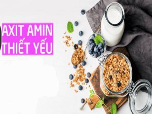 Axit amin là gì? Chức năng của các loại axit amin quan trọng