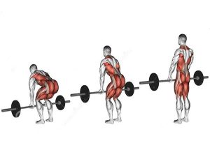 Bài tập Fitness cho nam có thể tập TẠI NHÀ