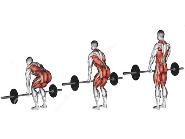 Bài tập Fitness cho nam có thể tập TẠI NHÀ