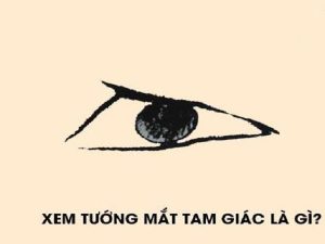 Mắt tam giác là gì, Vận số nam và nữ có tướng mắt này ra sao