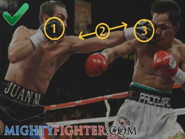kỹ thuật đấm boxing kỹ thuật đấm boxing