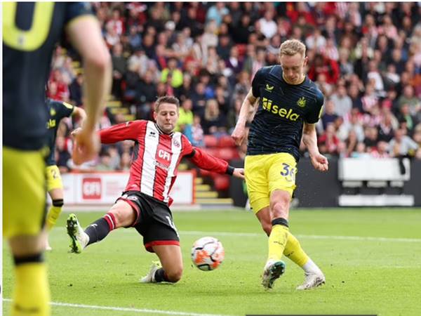 Trận đối đầu hấp dẫn giữa Sheffield United vs Newcastle