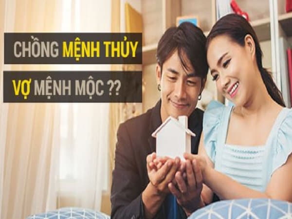 mệnh Thủy và mệnh Mộc có hợp nhau không trong hôn nhân