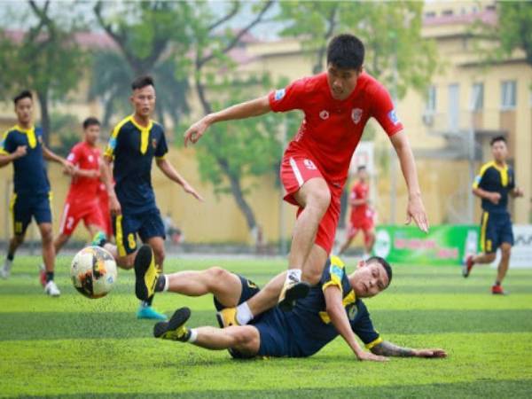 Giải đáp đá thòng là gì?