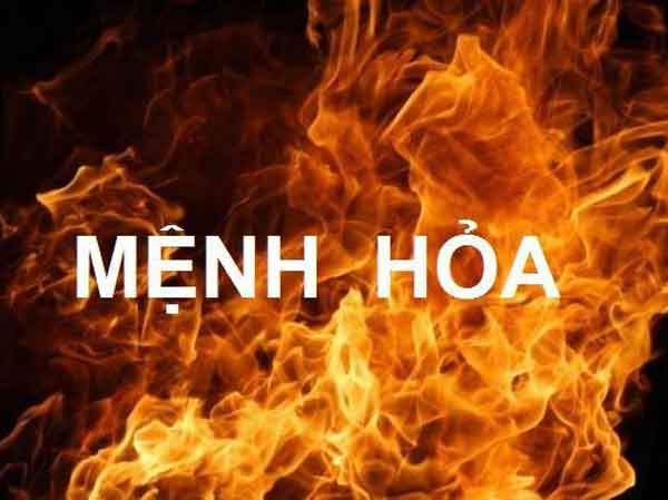 Mệnh Hỏa nên trồng cây gì trước nhà giúp chiêu tài lộc?