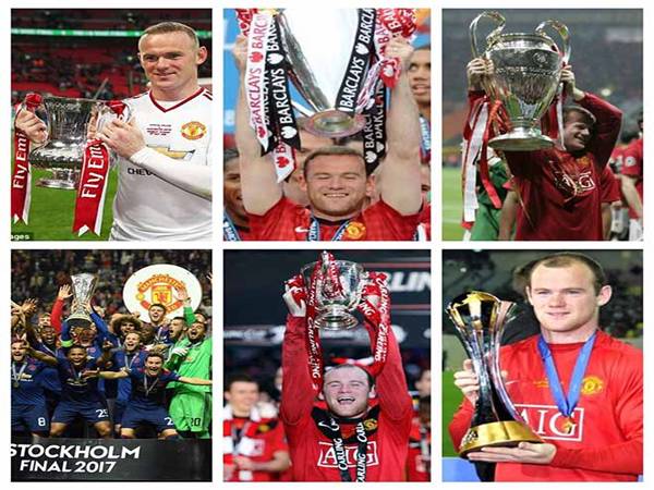 Tổng số danh hiệu Rooney giành được tại Manchester United